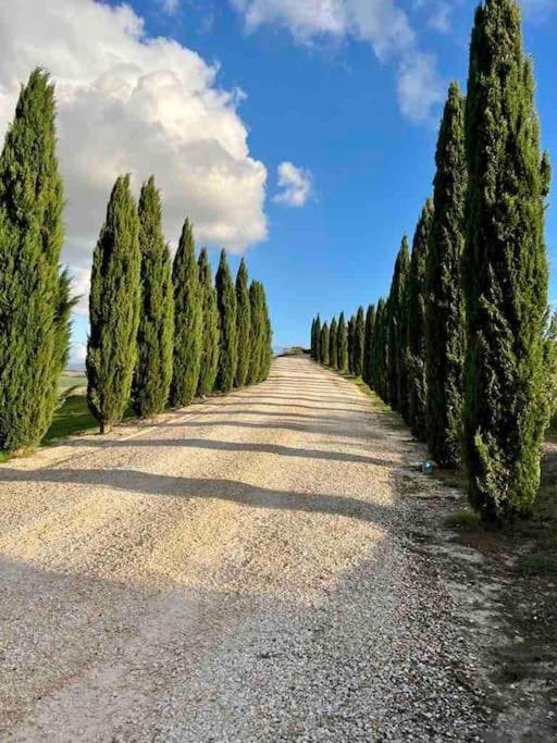 Toscana Amore Mio, Stunning View & 14Min Volterra Montecatini Val di Cecina Εξωτερικό φωτογραφία
